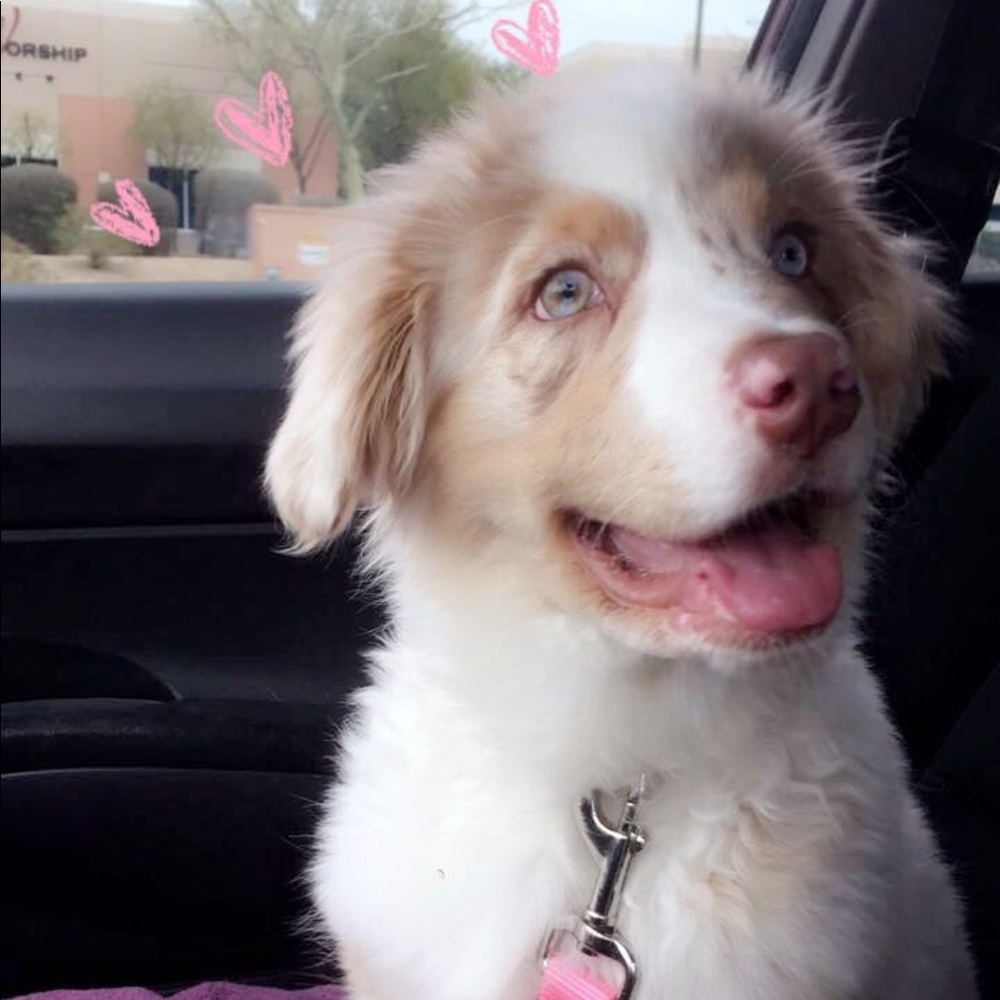 Meet your Posher, Amanda